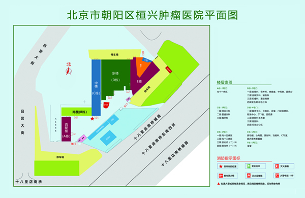 大鸡巴操逼视频太快了好爽哦操我北京市朝阳区桓兴肿瘤医院平面图